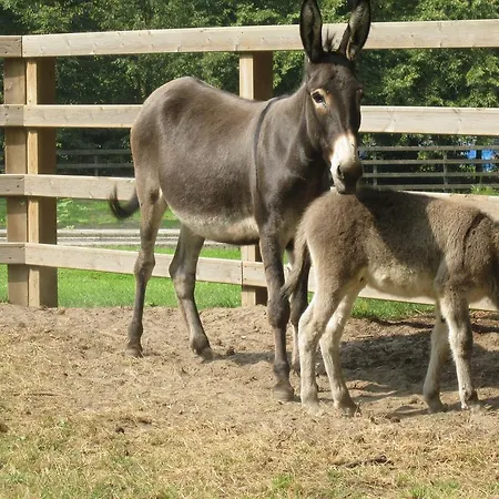 אתר נופש Centre Bol Trélon